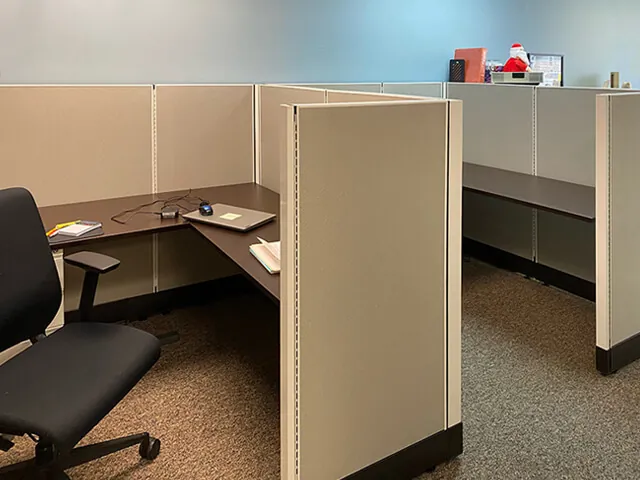 Seniors Helping Senior