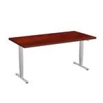  Adjustable Standup Desk 60W x 30D