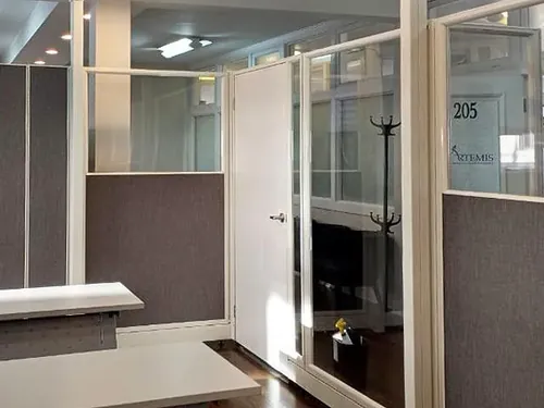 Artemis Biometrics and Security Solutions