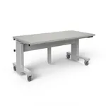 Millwright Workbench On Wheels 