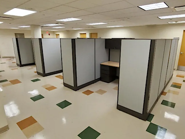 Canine Companions for Independence