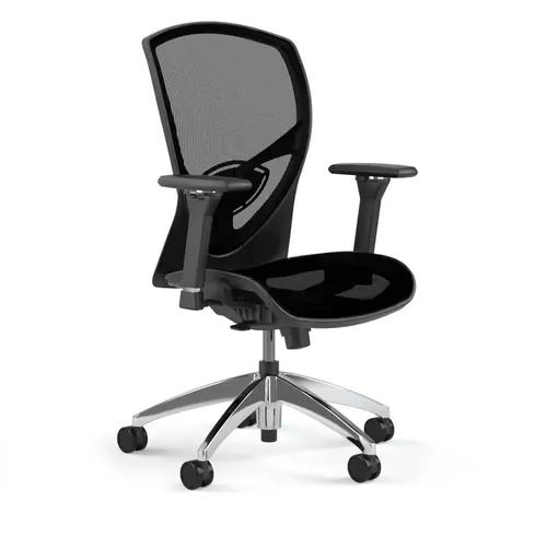  Office Chair With Adjustable Lumbar Support 