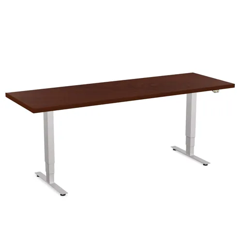  Adjustable Standup Desk 72W x 24D