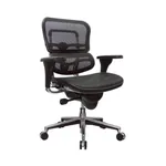 Ergohuman Mid Back Boardroom Chairs 