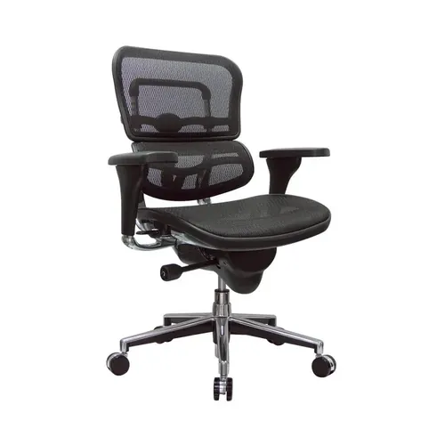 Ergohuman Mid Back Boardroom Chairs 