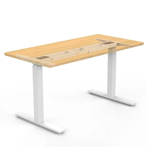  Dual Motor Standing Desk 