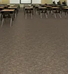 Flagstaff Commercial Grade Carpet 