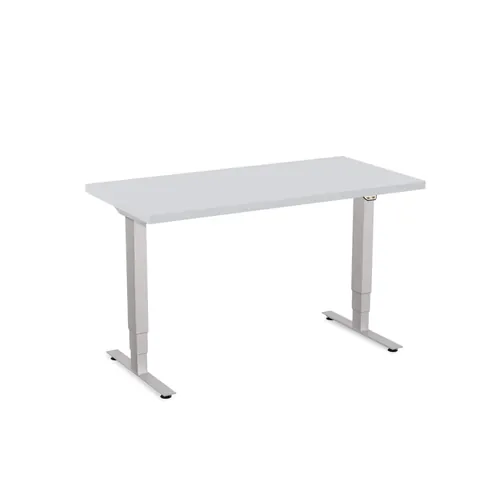  Adjustable Standup Desk 48W x 24D